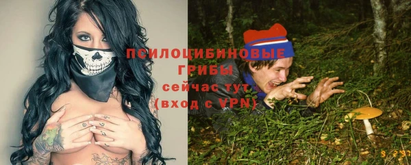 сатива Верхний Тагил