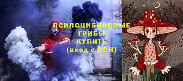 сатива Верхний Тагил