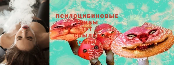 сатива Верхний Тагил