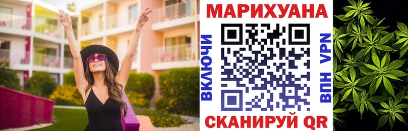 Каннабис планчик  Каневская 